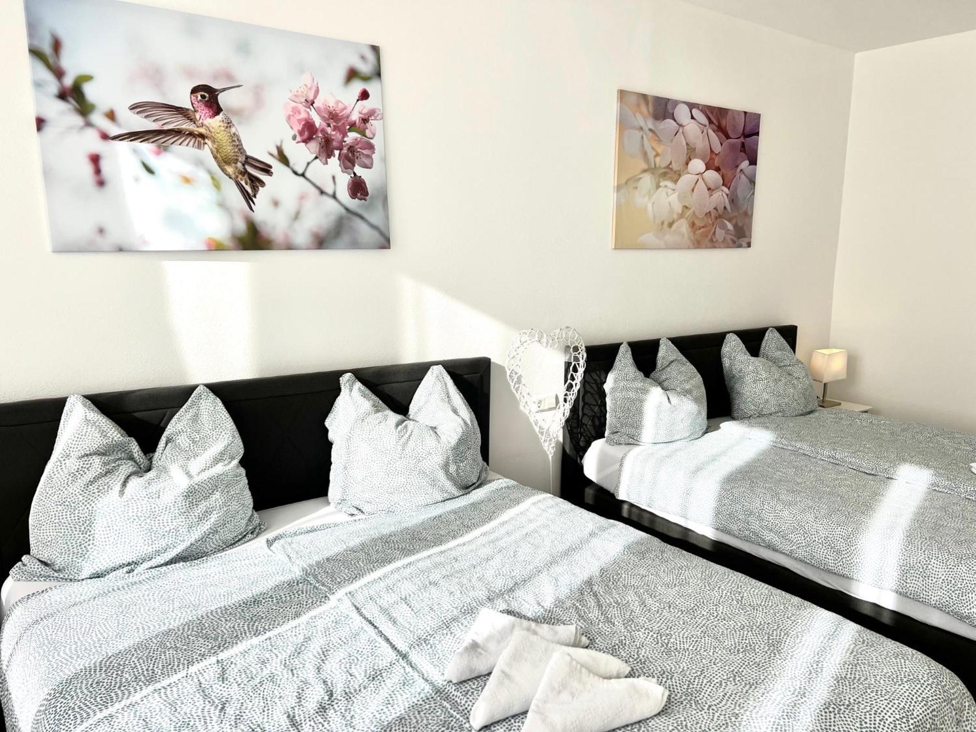 City Appartement Kueche,Bad, Parken Im Zentrum Von Ravensburg Room photo